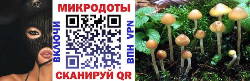 Галлюциногенные грибы ЛСД  mega tor  Гвардейск 